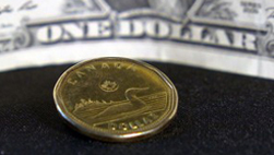 The Cry of the Loonie